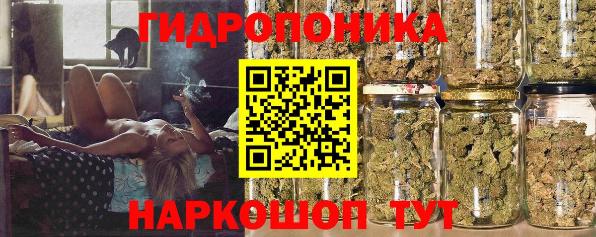 МАРИХУАНА план  Бошки Шишки семена  Магадан  Бошки Шишки Amnesia  Вход с VPN 